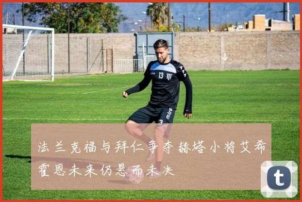 法兰克福与拜仁争夺赫塔小将艾希霍恩未来仍悬而未决