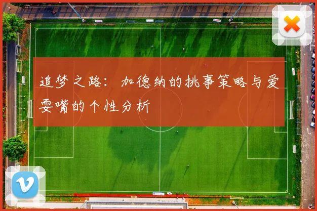 追梦之路：加德纳的挑事策略与爱耍嘴的个性分析