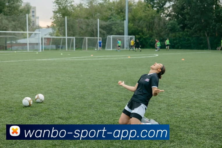 多媒体互动体验